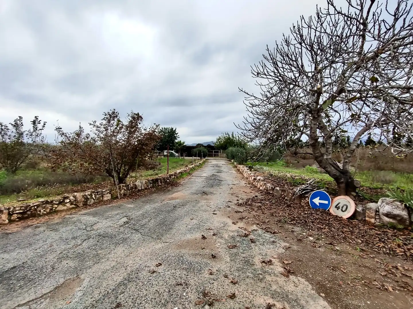 Land for sale in Vilallonga del Camp