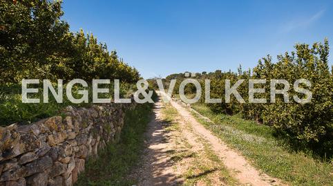 Foto 3 de Finca rústica en venda a Camí del Primer Collado, Bonavista - Lago de San Lorenzo, Cullera