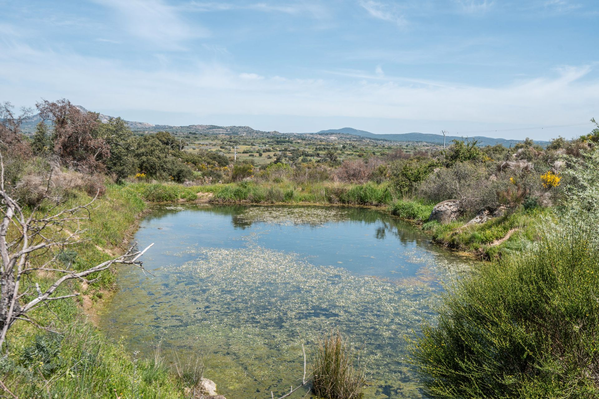 Country house for sale in Almorox  with Heating, Private garden and Terrace