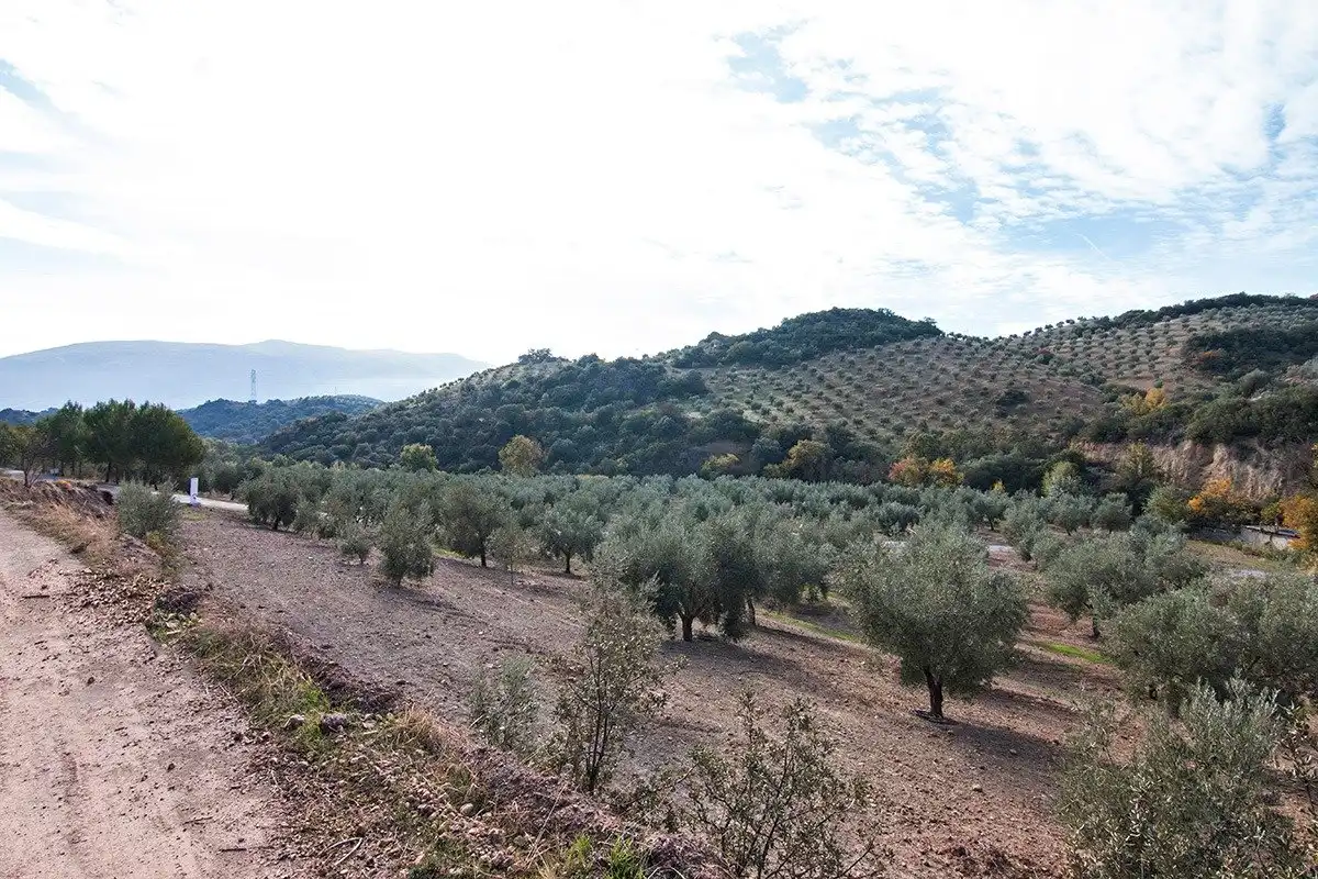 Country homes for sale in Loja