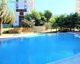 Swimming pool of Flat to rent in Benidorm  with Air Conditioner, Heating and Furnished