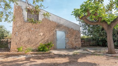 Finca con agua de riego y balsa