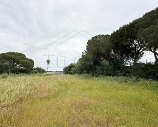Land for sale in Puerto Real