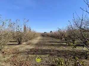 Finca rústica en venta en El Milà