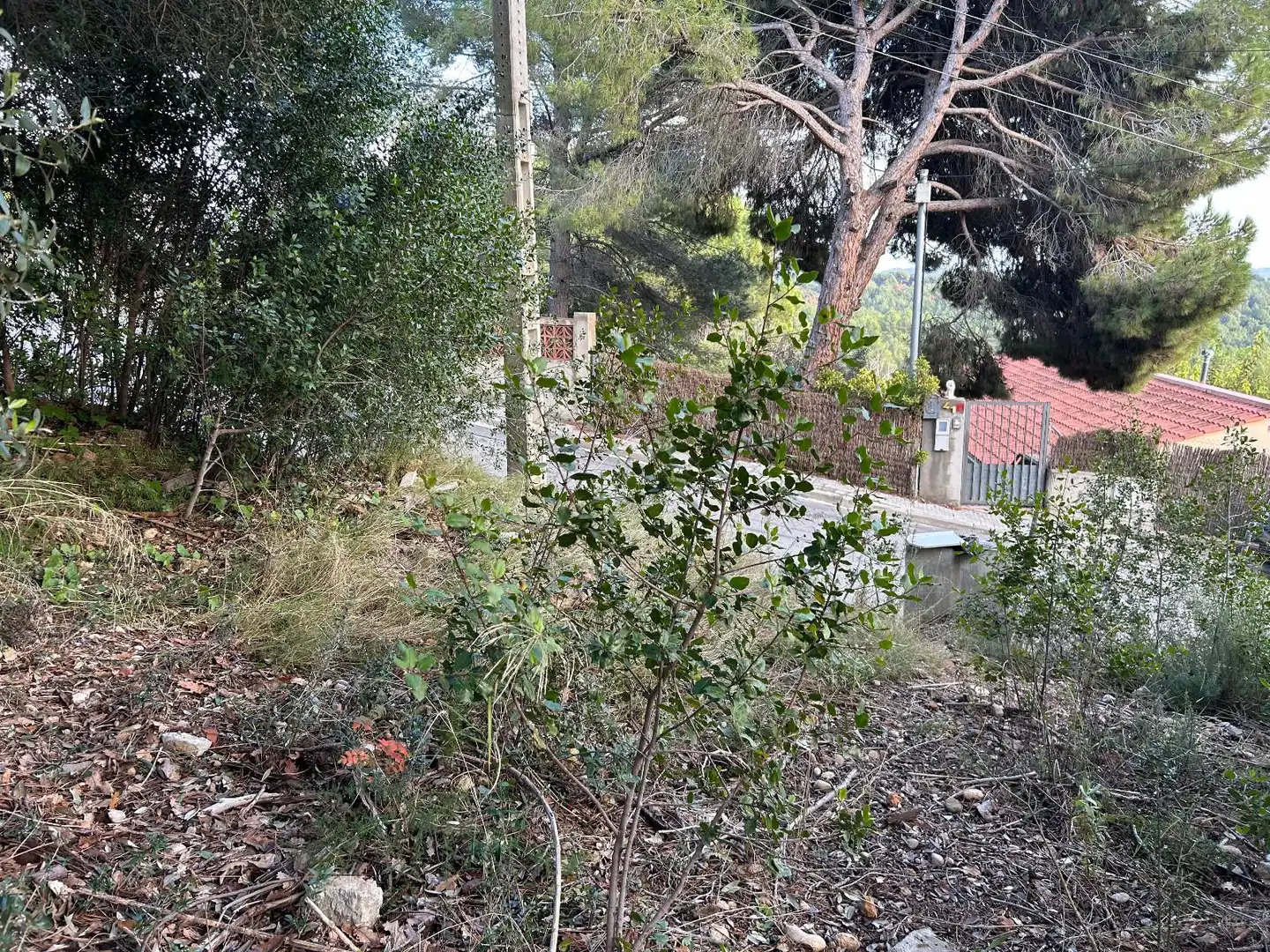 Rustikales Grundstück zum Verkauf in CAN FELIU, imagen 18