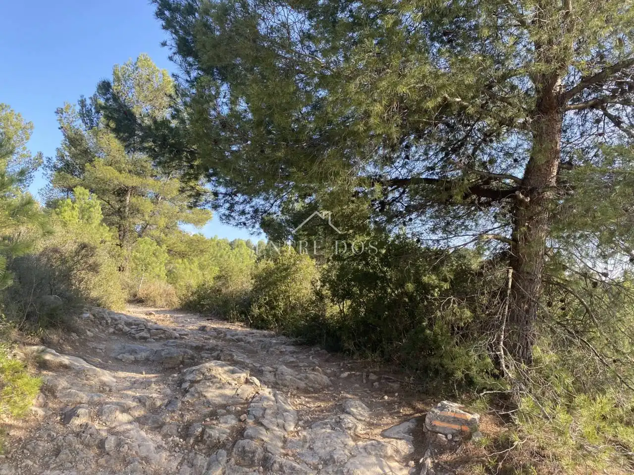 Rural land for sale in 18 parcela 79, imagen 13