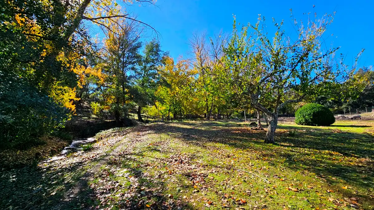 Casa o chalet en venta en Cortelazor con Jardín privado, Terraza y Trastero