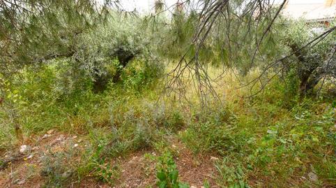 Photo 4 of Residential for sale in Guazamara - Los Lobos, Almería