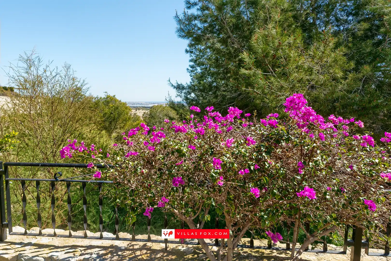 Reihenhaus zum Verkauf in San Miguel de Salinas, imagen 34