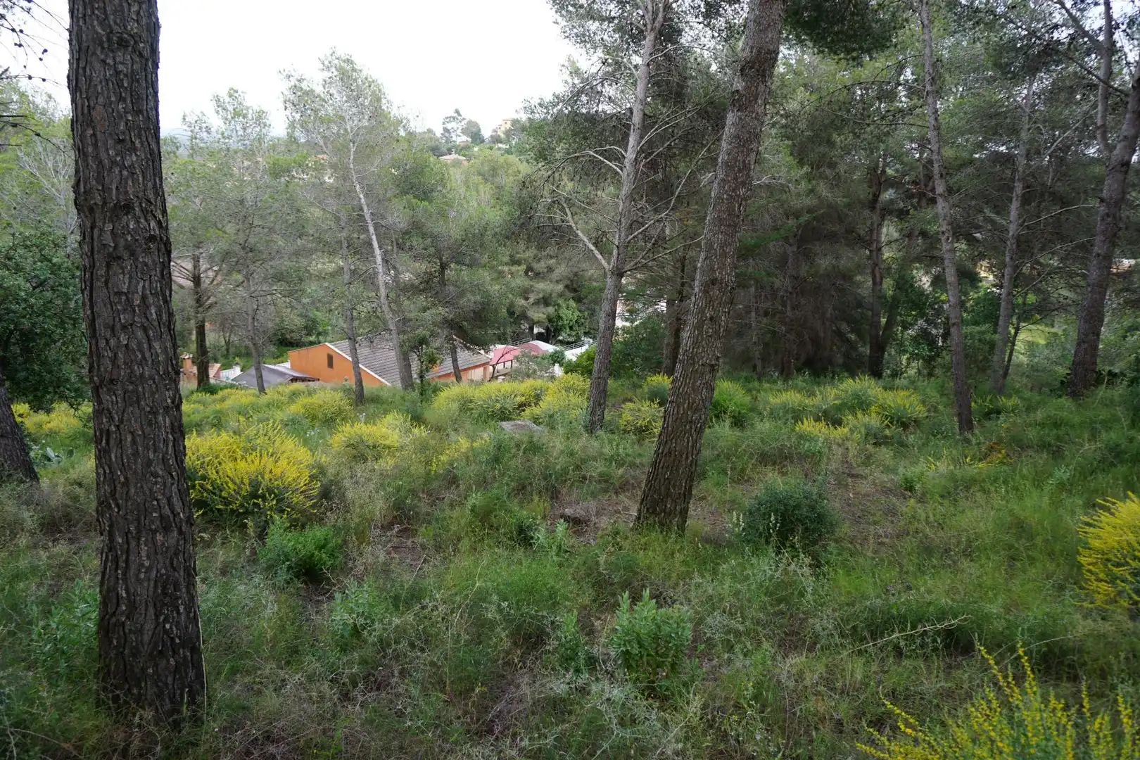 Terreno residenziale in vendita a Calle Ferreteries, imagen 9