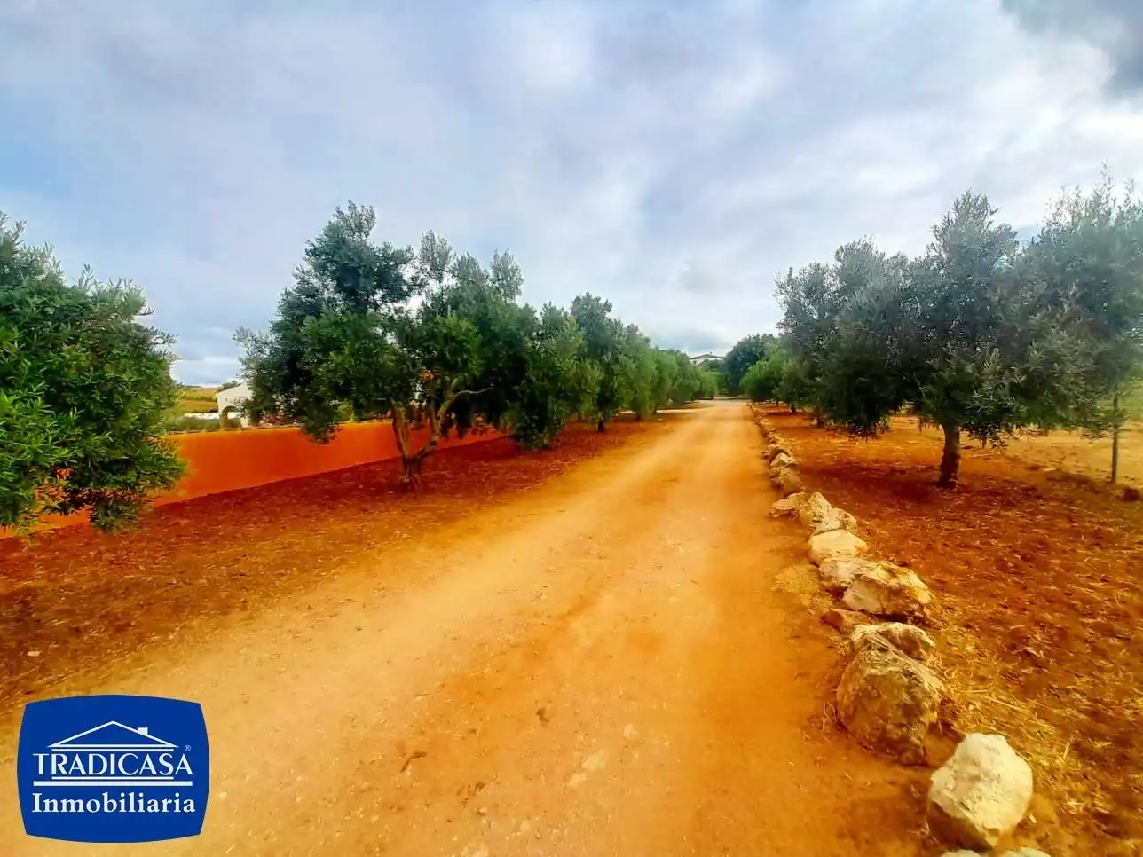 Chalet en venta en Arcos de la Frontera, imagen 9