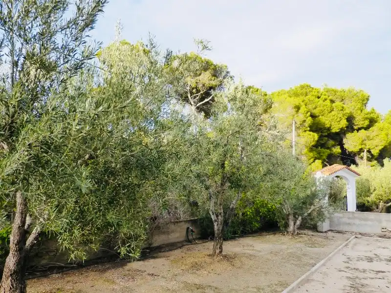 Garden of Houses for sale in Dénia  with Air Conditioner, Heating and Private garden