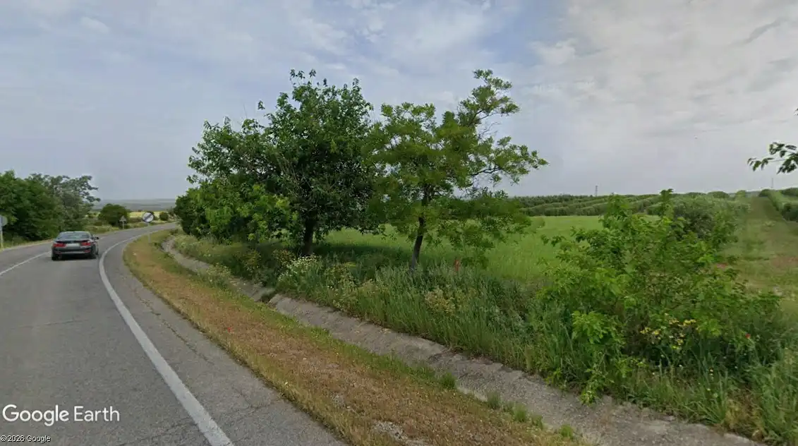 Terreny rústic en venda a Montellano, imagen 3