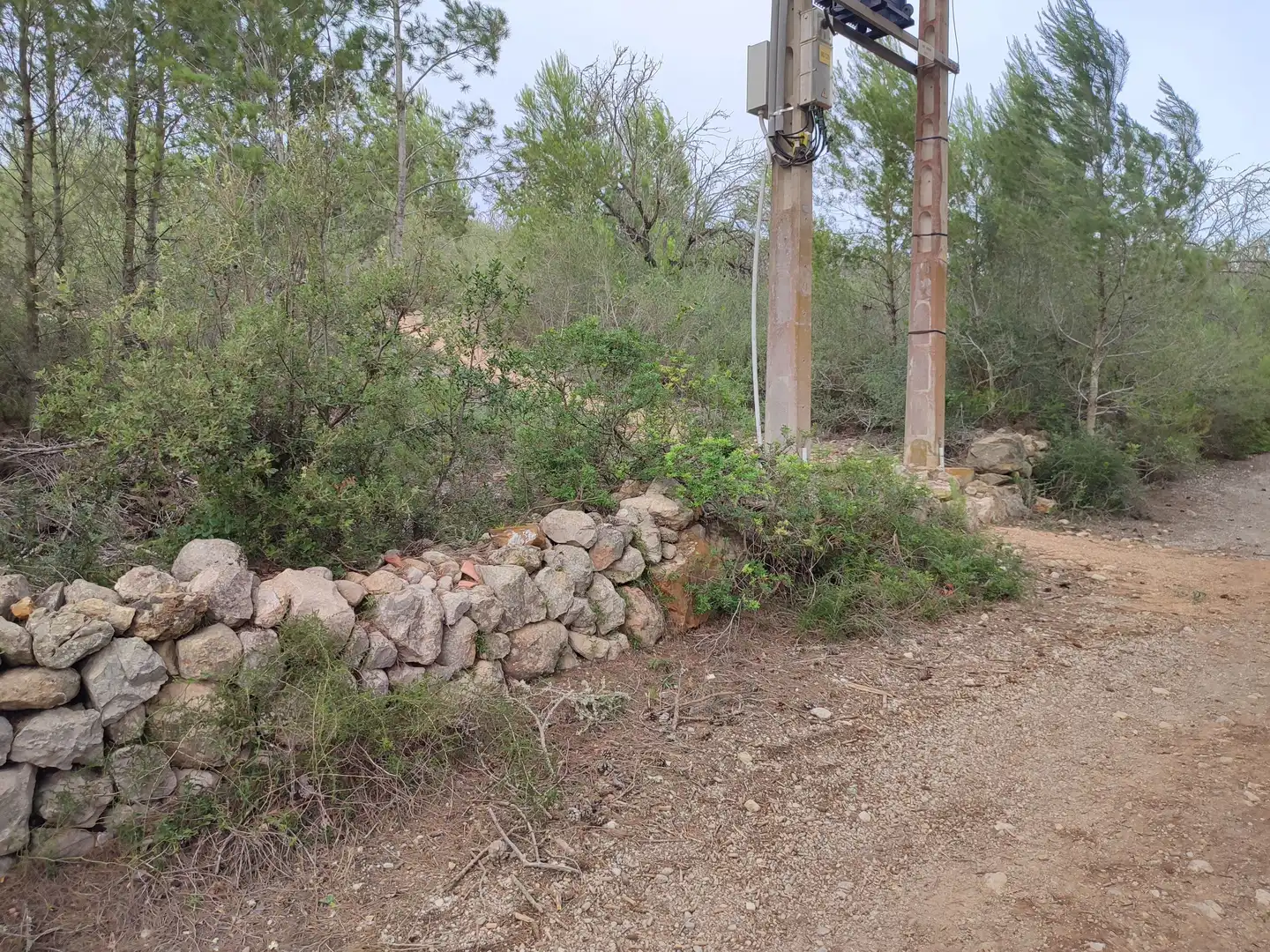 Terrain rustique à vendre à Sant Joan, imagen 17