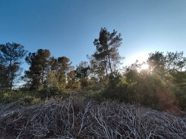 Terreno residencial en Venta en Carrer de les Farigoles, 35 en El Catllar