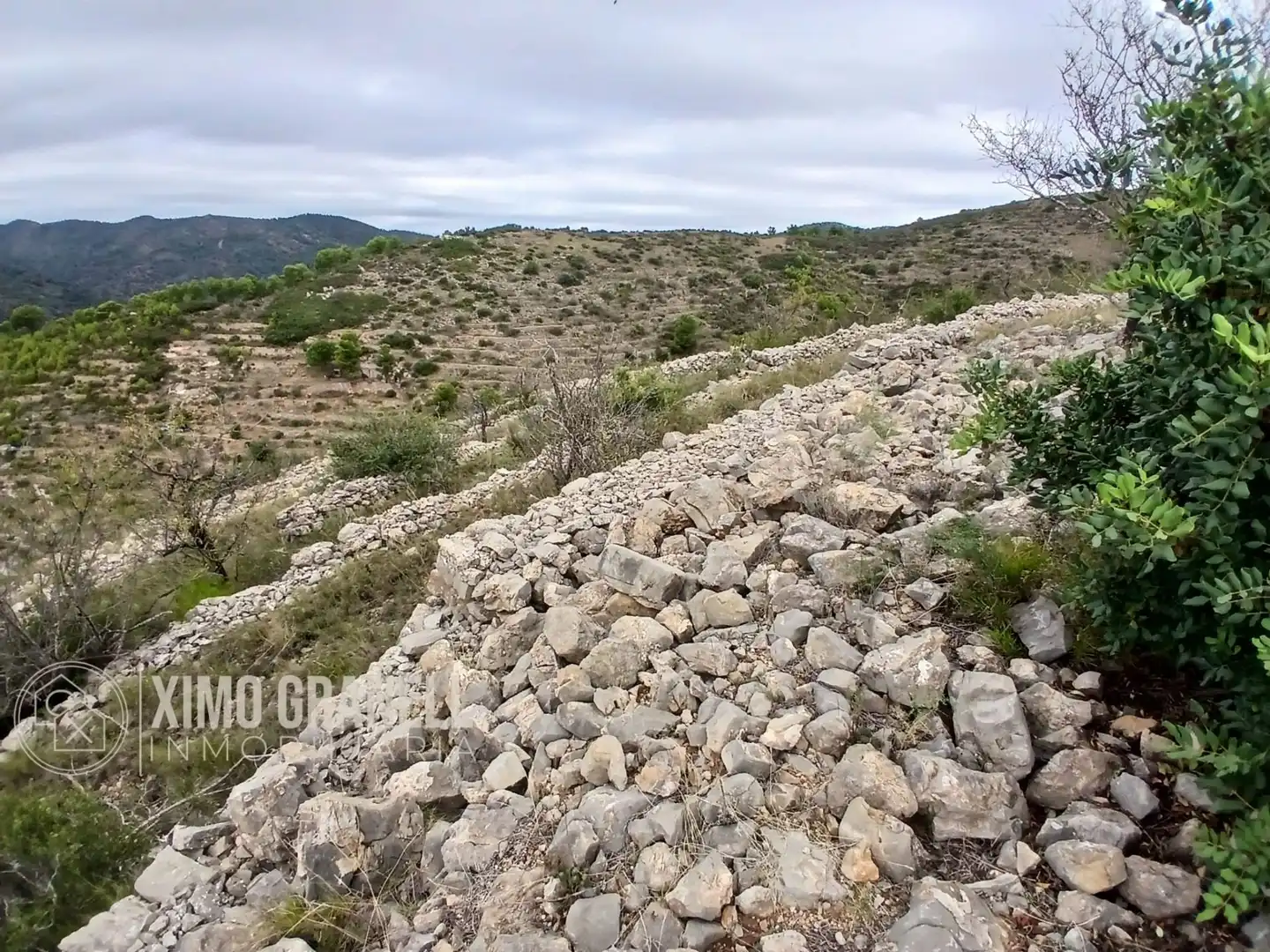 Terreny rústic en venda a La Vall d'Uixó, imagen 25