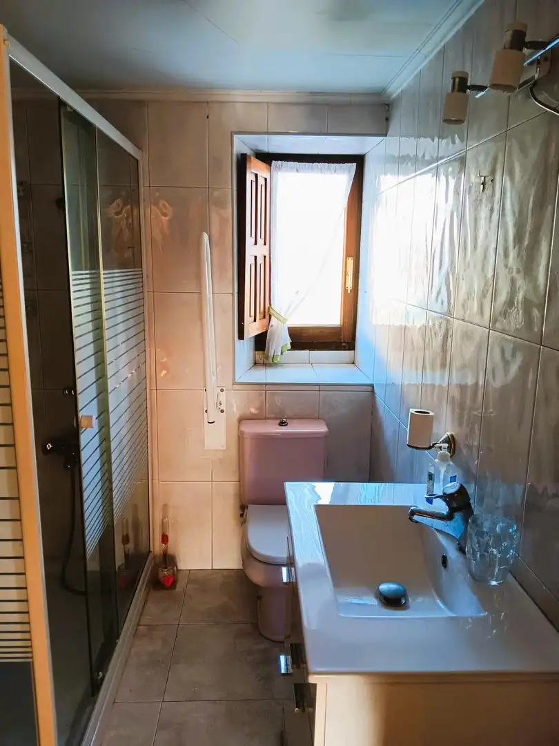Baño de Finca rústica en venta en Artzentales