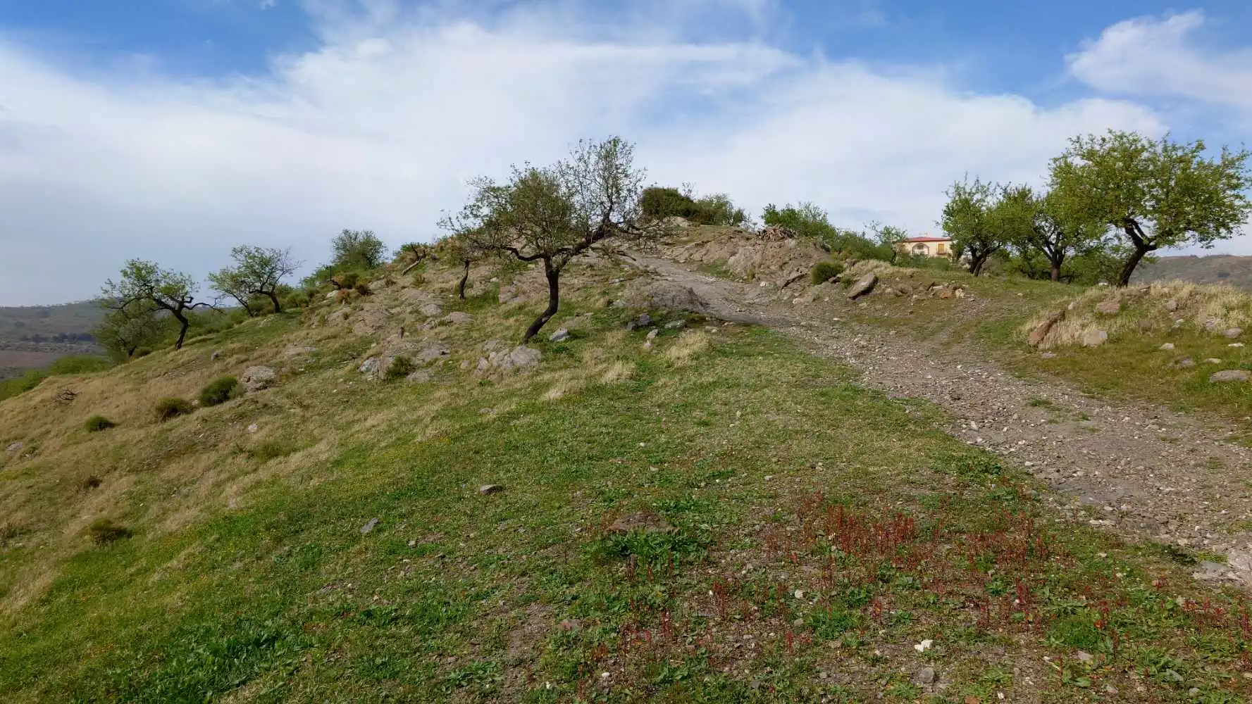Casa rústica amb terrassa en venda a Camino de la Ermita, imagen 42
