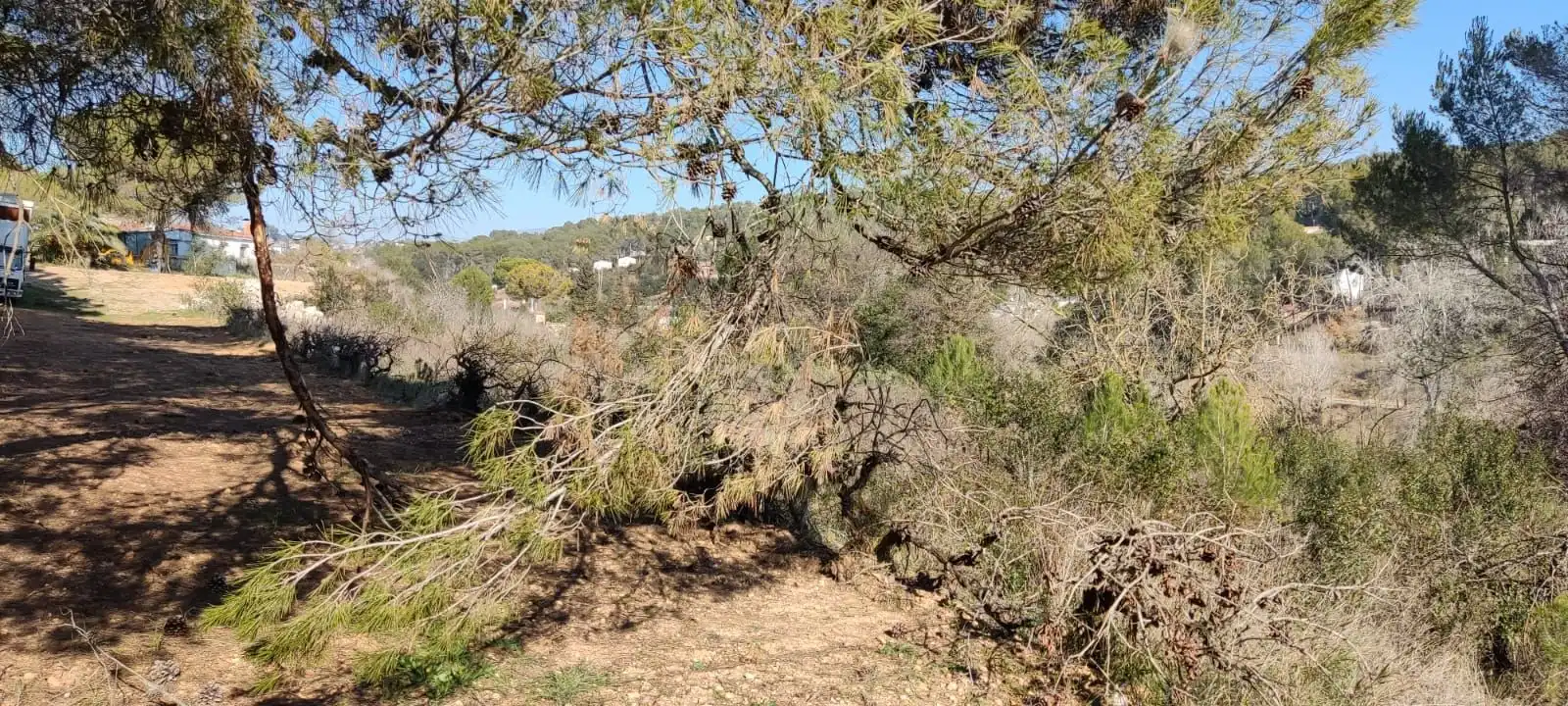 Terrain résidentiel à vendre à Sant Muç, imagen 12