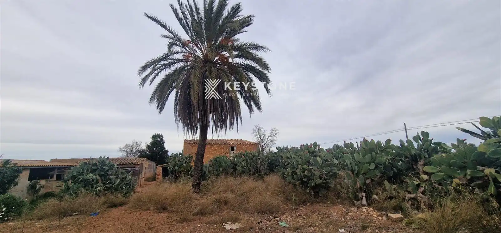 Finca rústica en venta en Campos poble