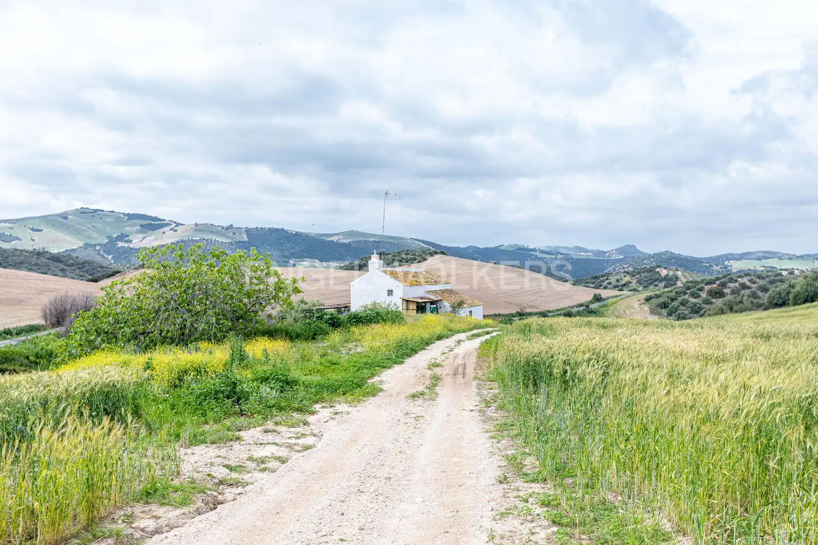 Vista exterior de Casa o chalet en venta en La Puebla de Cazalla con Calefacción, Jardín privado y Terraza