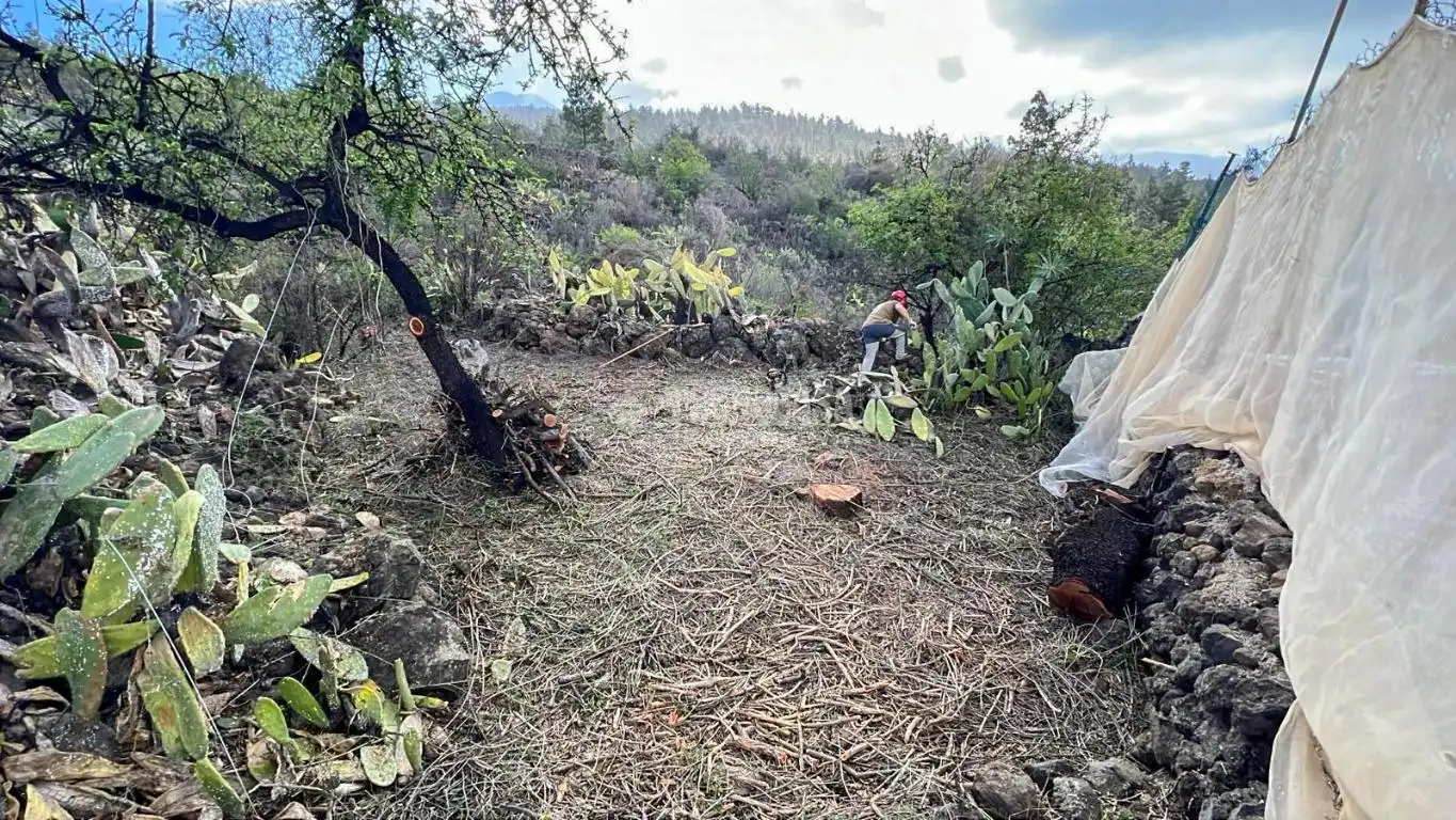 Terreno rústico en venta en Guía de Isora interior, imagen 5