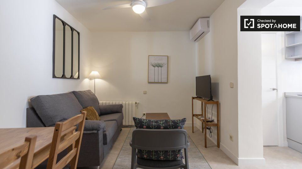 Living room of Flat to rent in  Madrid Capital  with Air Conditioner, Heating and Furnished