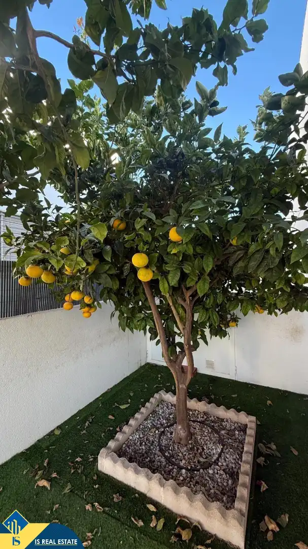Casa amb piscina en venda a Nueva Torrevieja - Aguas Nuevas, imagen 24