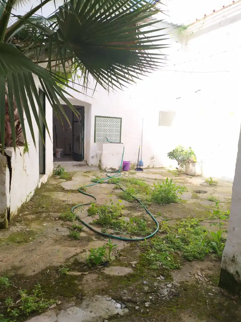 Jardí de Finca rústica en venda en Casarabonela amb Terrassa, Rentadora i Balcó