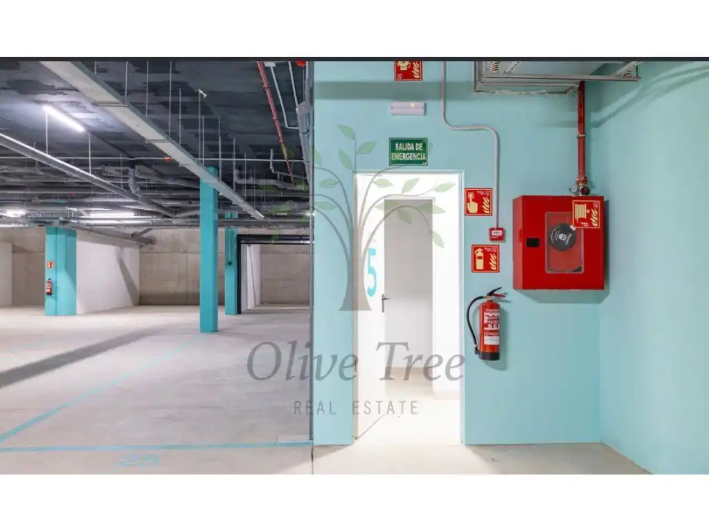 Apartamento con piscina en alquiler en Avenida Pedro Matutes Noguera, imagen 7