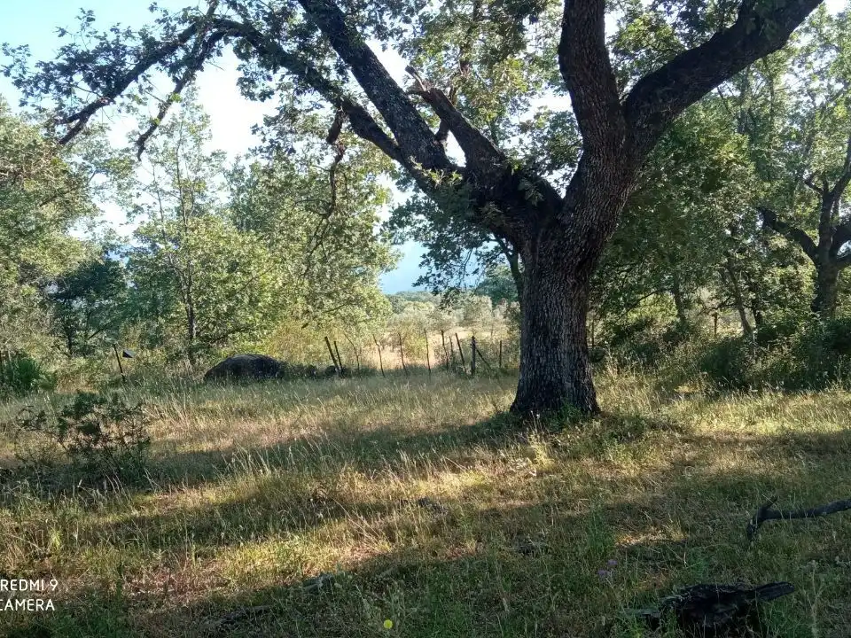 Terreno en venta en Robledillo de la Vera