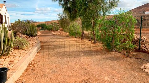 Photo 3 of Houses for sale in Miguel Betancor Garcia, Tuineje pueblo, Tuineje