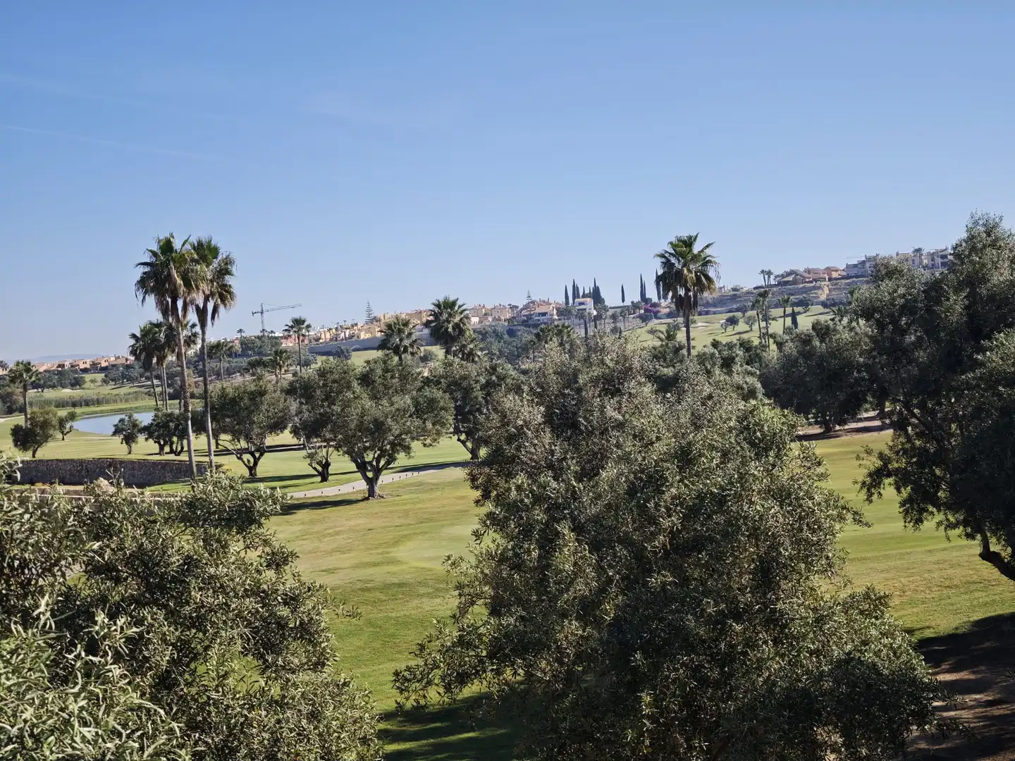 Maison à vendre à Algorfa, imagen 36