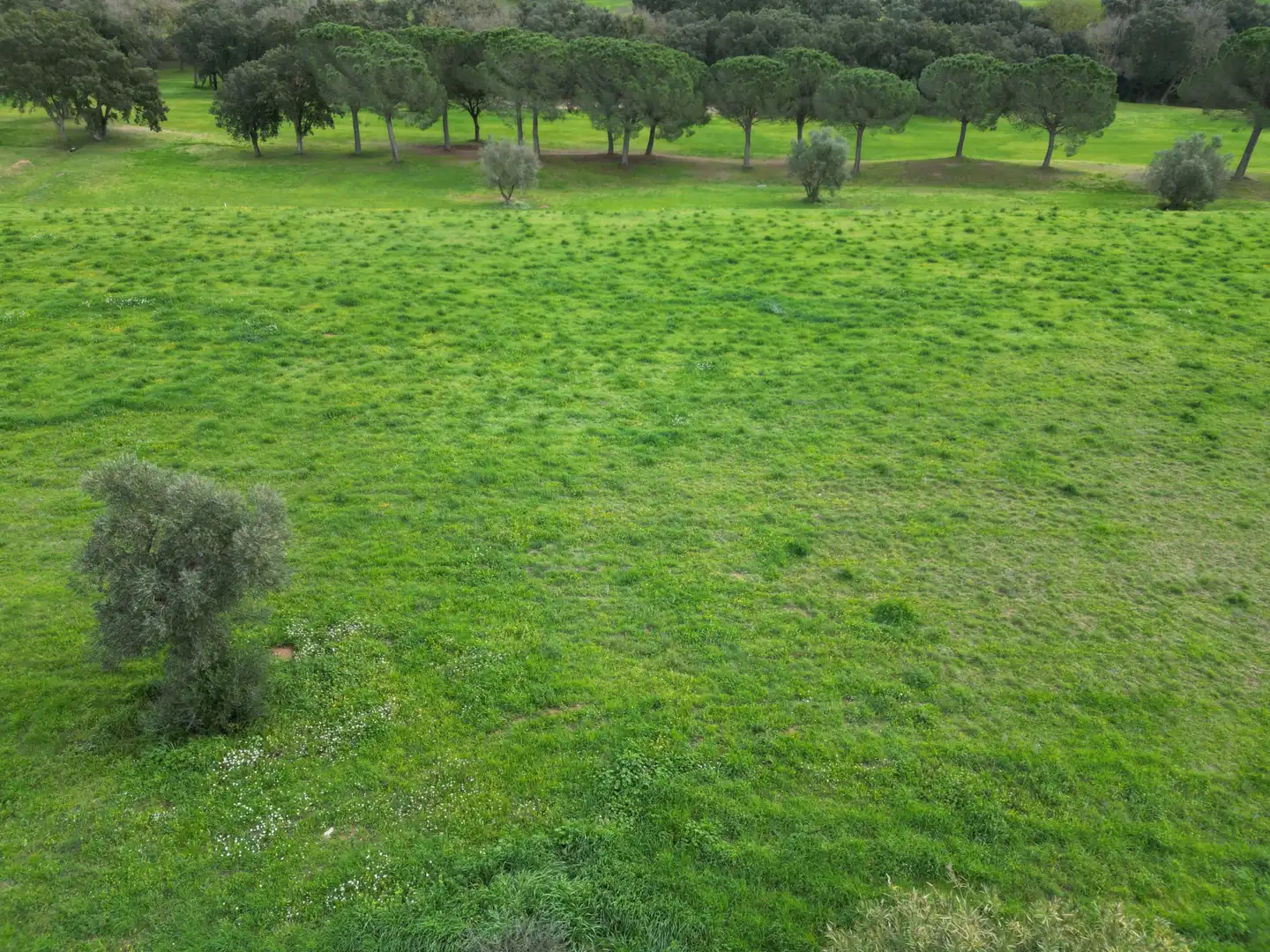 Terrenys i solars en venda a Peralada, imagen 10