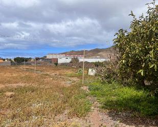 Finca rústica en venda en La Aldea de San Nicolás 