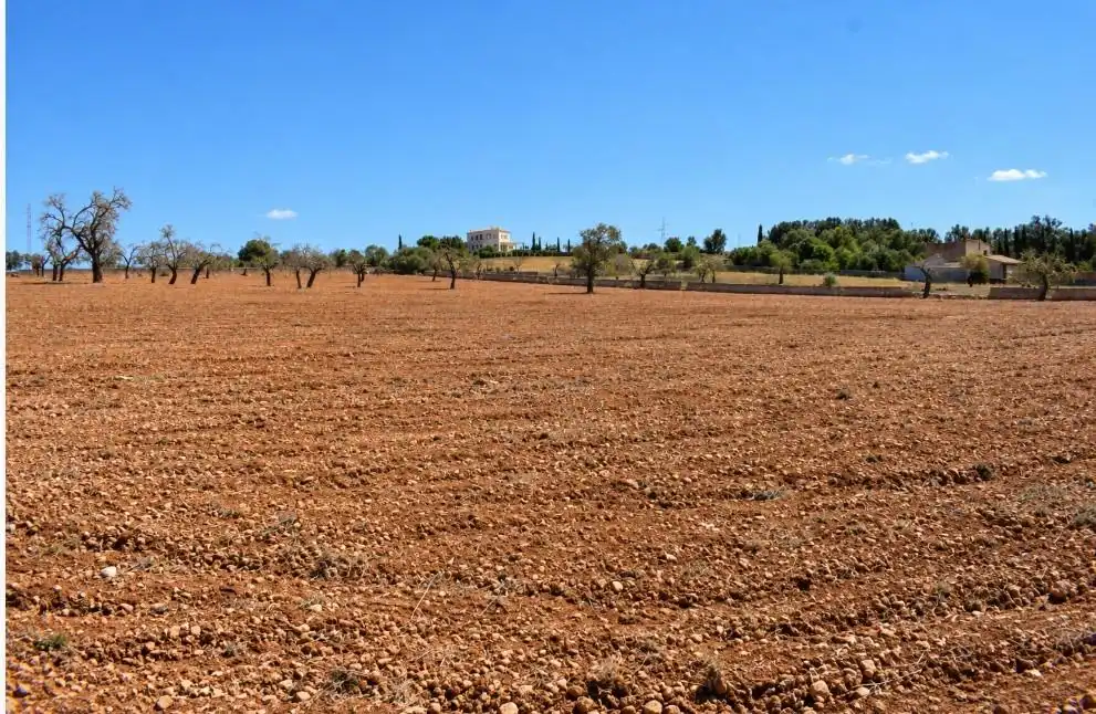 Terreny residencial en venda a Ariany, imagen 15