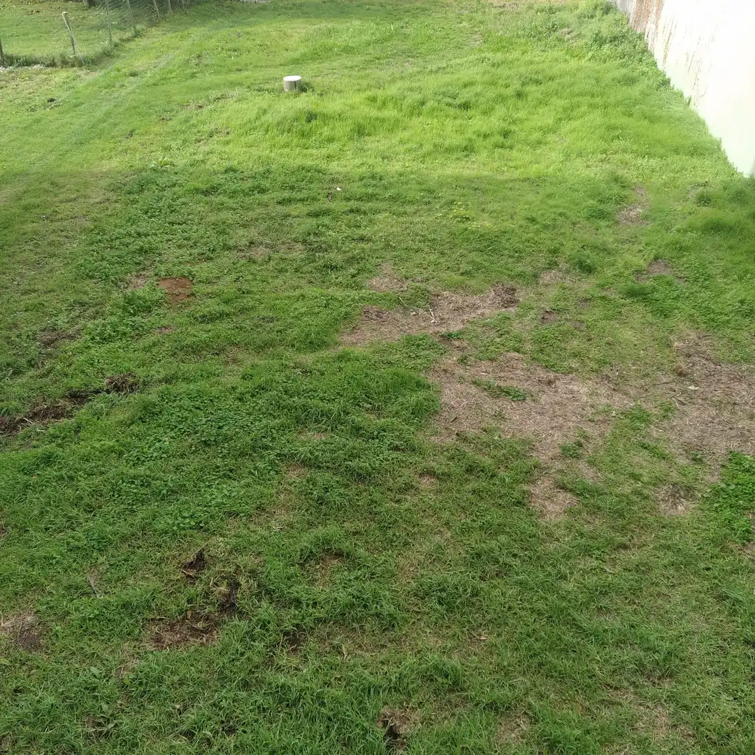 Appartamento con terrazza in vendita a Parroquia a Pedra 34, imagen 6