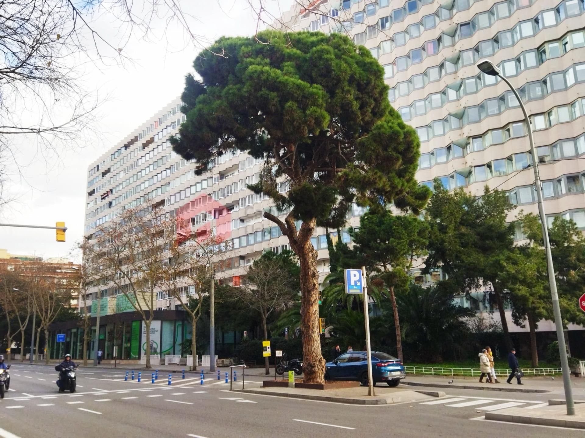 Exterior view of Premises for sale in  Barcelona Capital