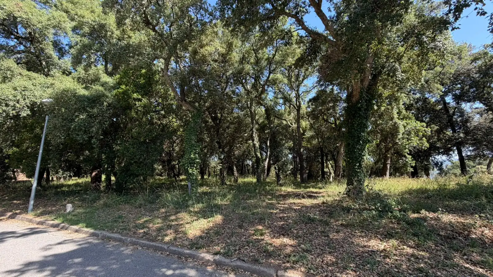 Terreno residencial en venta en Montsoriu Sortida 167, imagen 7
