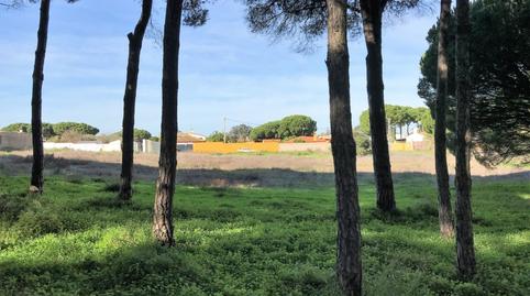 Foto 5 de Finca rústica en venda a Las Lagunas - Campano, Cádiz