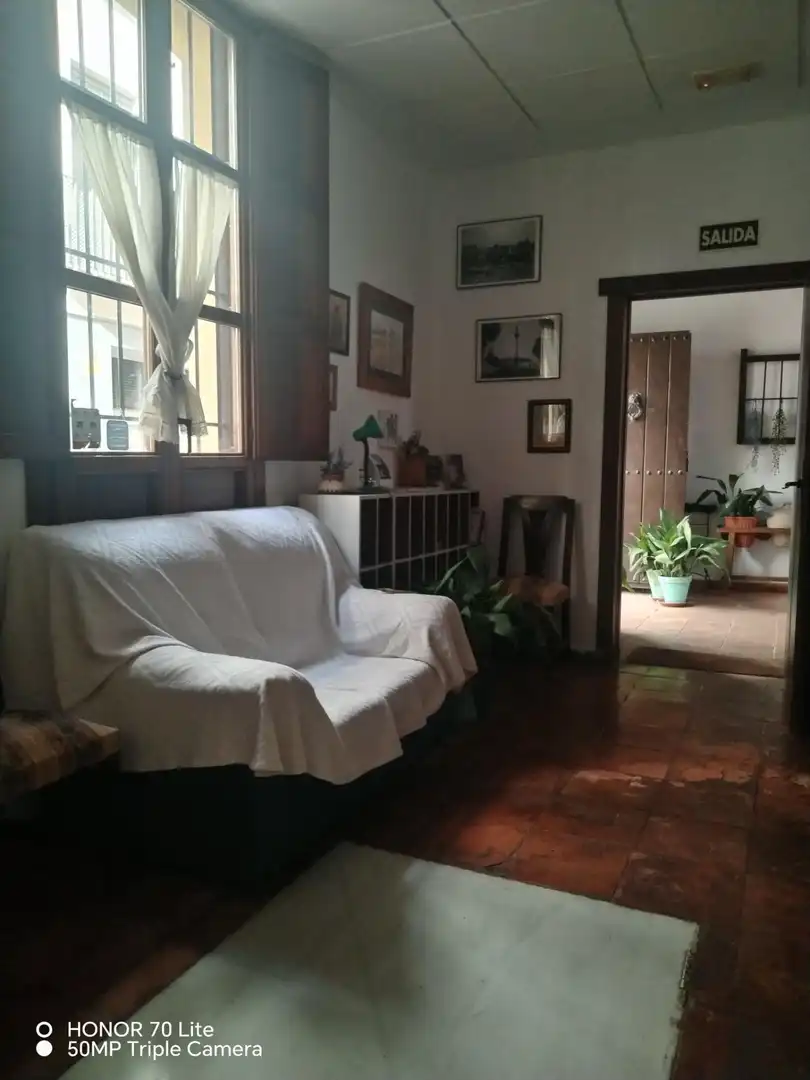 Inmuebles singulares en venta en Centro, imagen 13