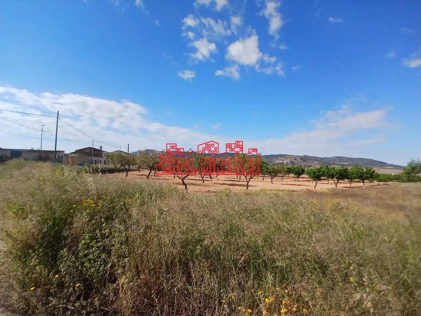 Terrenys i solars en venda a Abanilla, imagen 4
