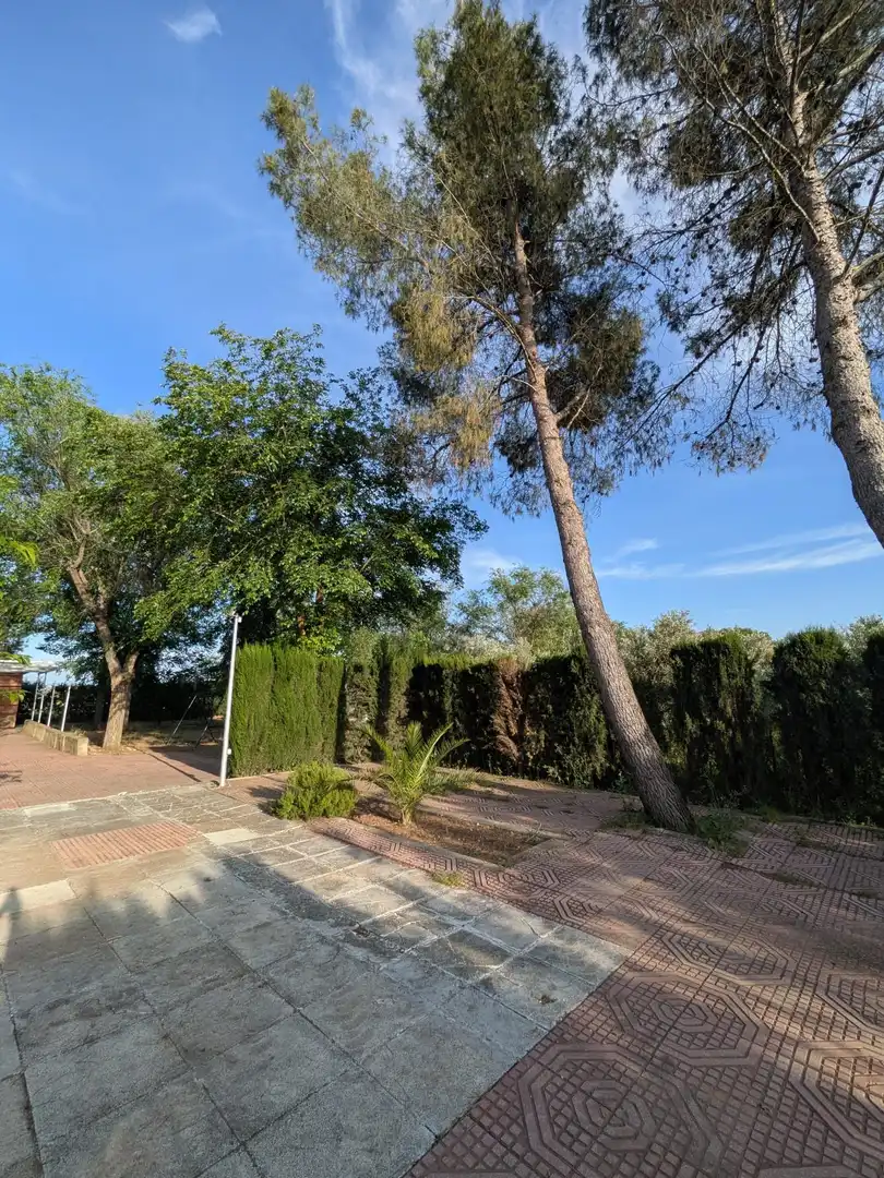 Jardín de Finca rústica en venta en Miguelturra con Aire acondicionado, Calefacción y Jardín privado