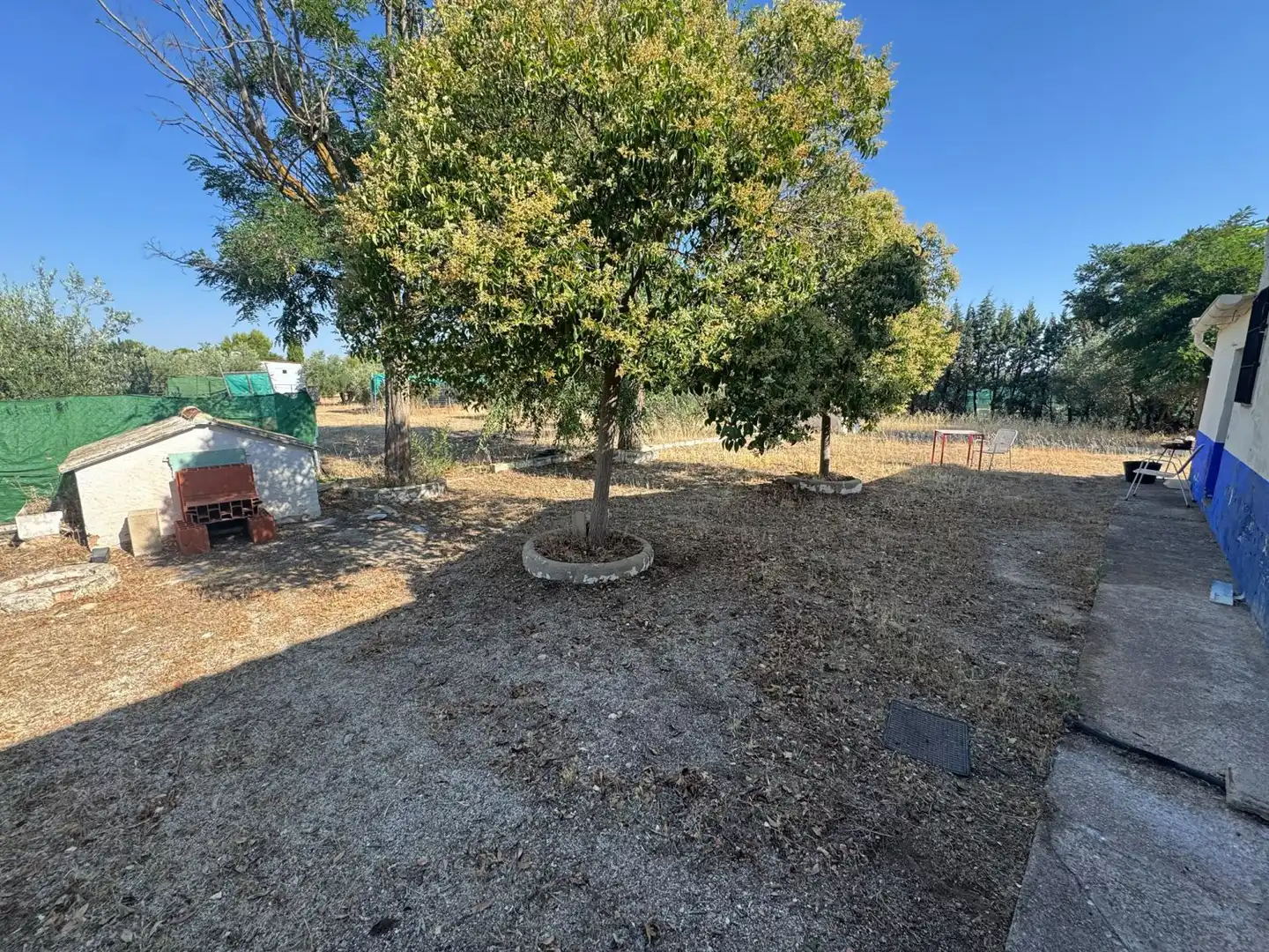 Casa rústica en venda a Valdepeñas, imagen 44