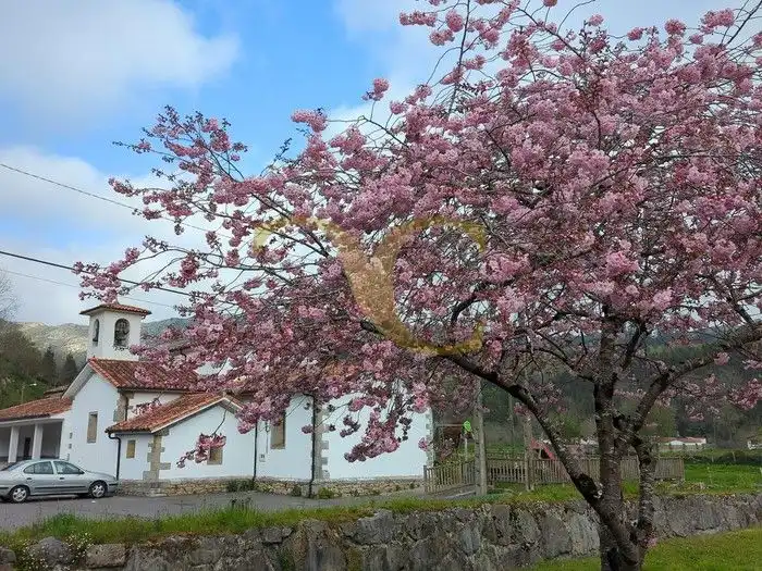 Vista exterior de Casa o xalet en venda en Llanes