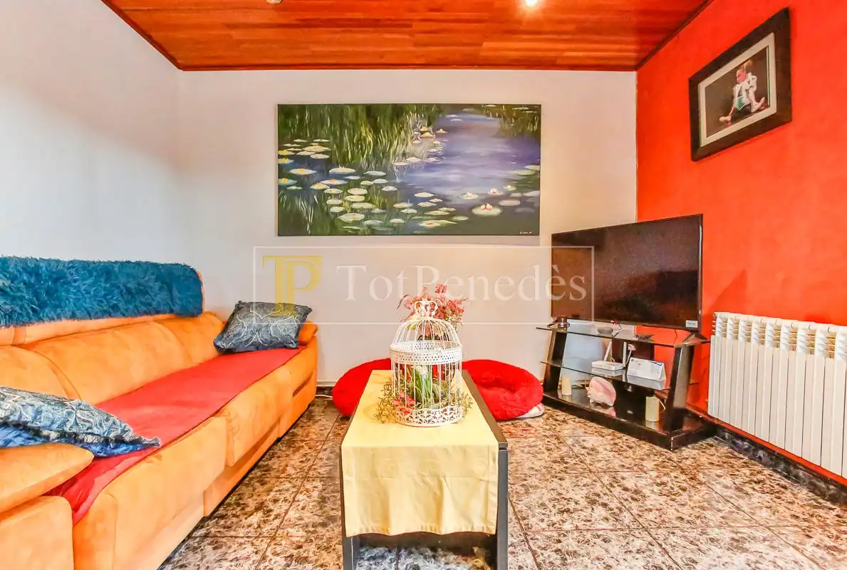 Living room of Houses for sale in Torrelles de Foix  with Air Conditioner, Heating and Private garden