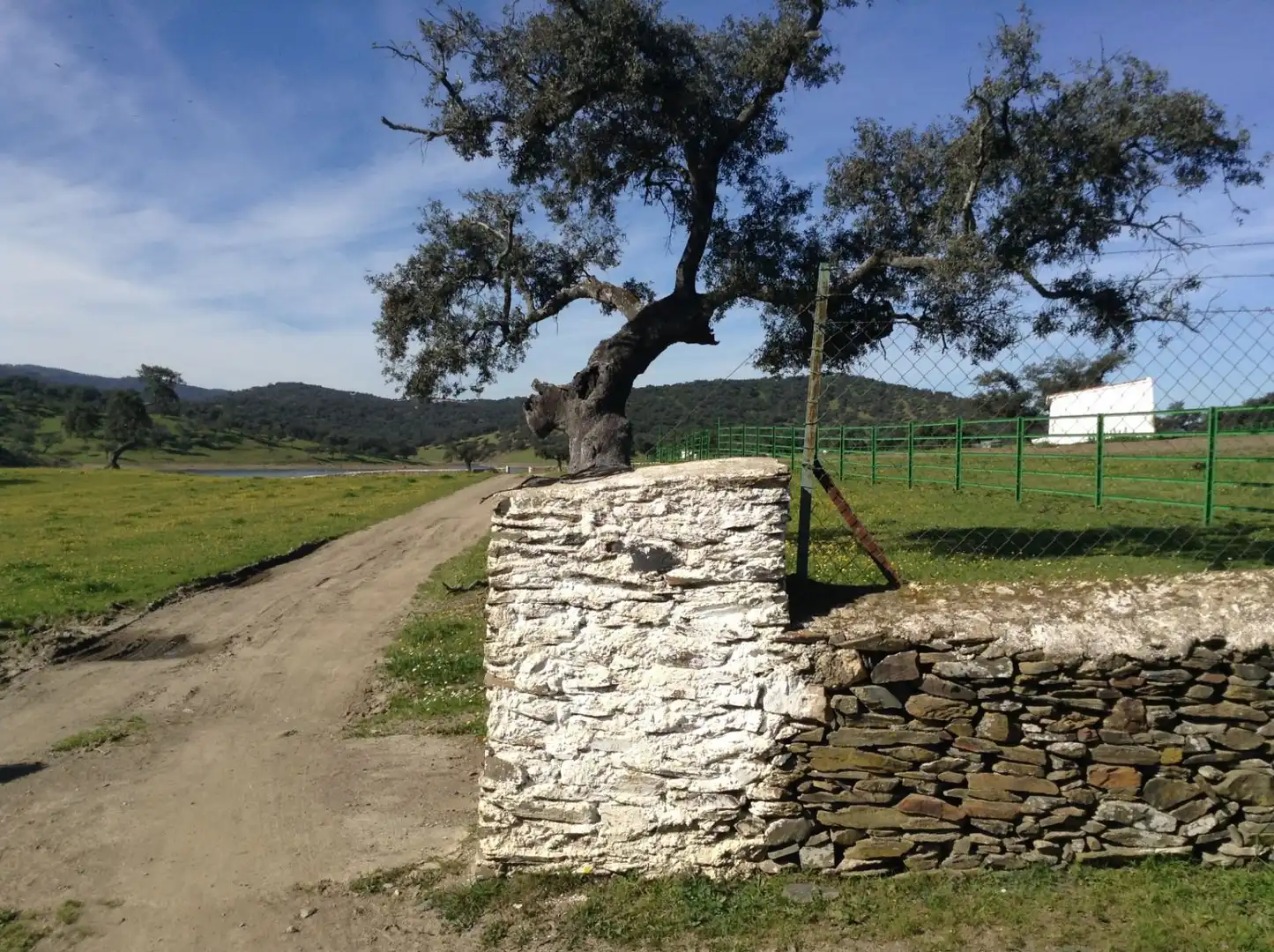 Terrains et parcelles à vendre à Corteconcepción, imagen 8