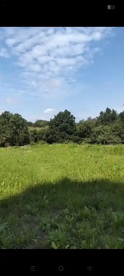 Finca rústica en venta en Valdáliga