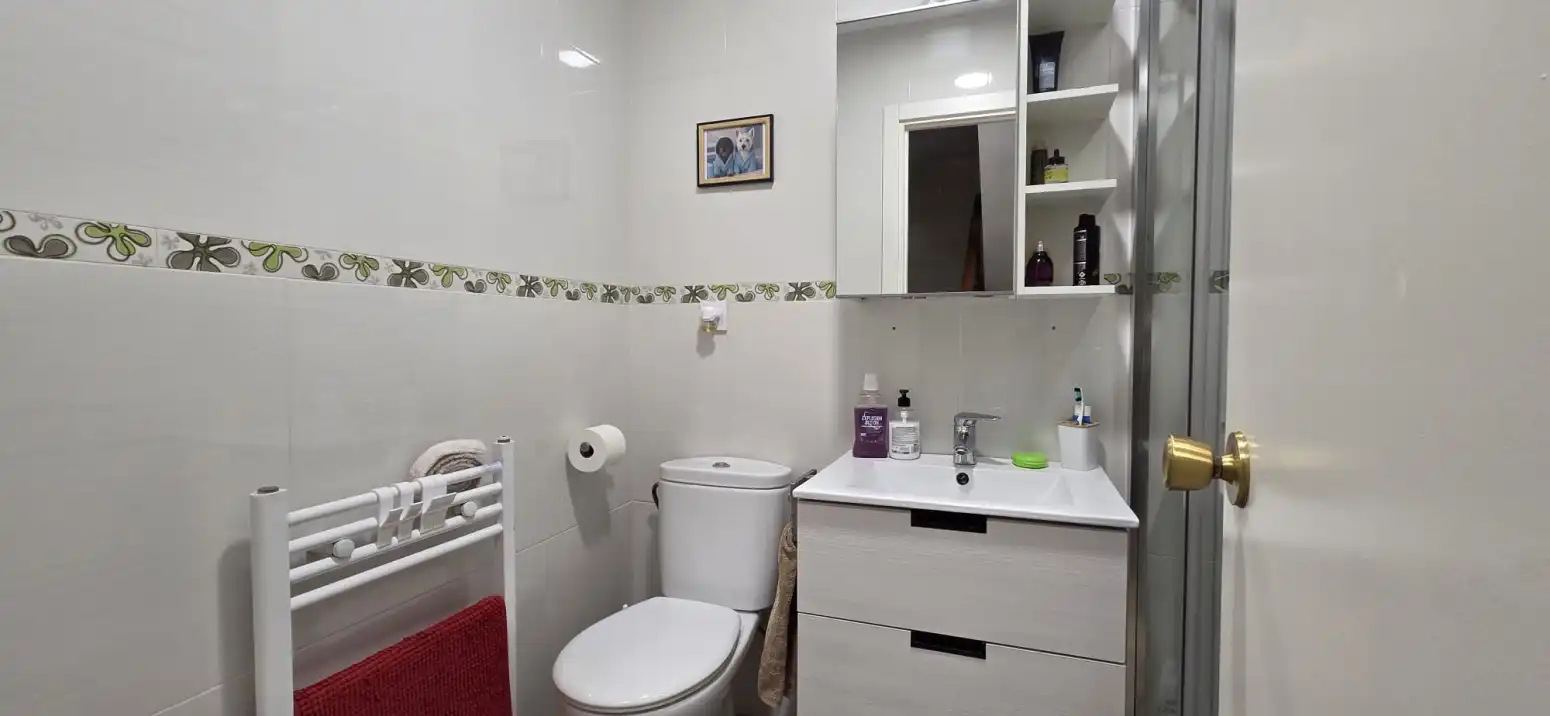 Baño de Casa o chalet en venta en Getafe con Calefacción y Jardín privado