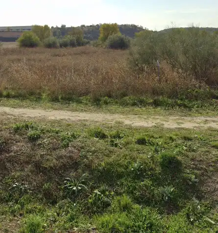 Residencial en venta en Carretera de Circunvalación Sur, Altos del Olivar - El Caracol